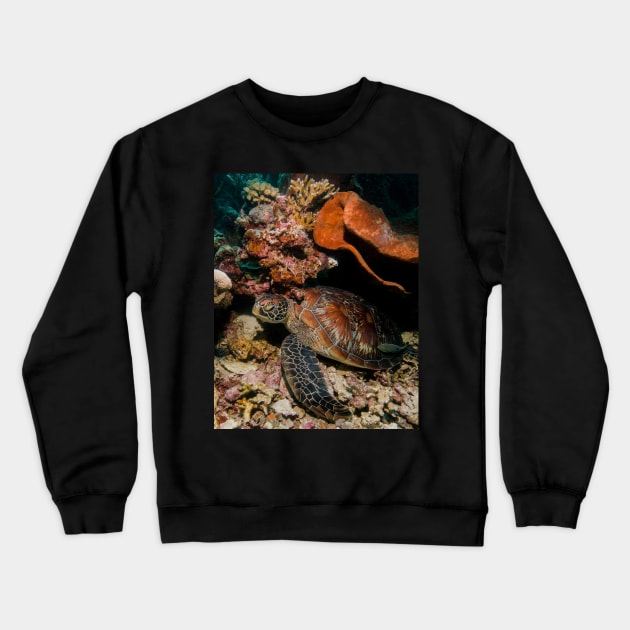 The Beauty of the Shell of a Green Turtle Crewneck Sweatshirt by jbbarnes